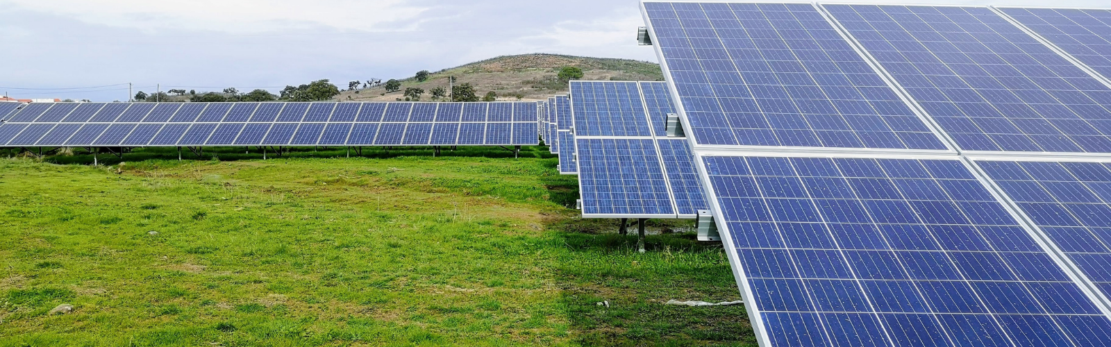 Chef de projets Solaire PV f/h Chef de projets Solaire PV f/h