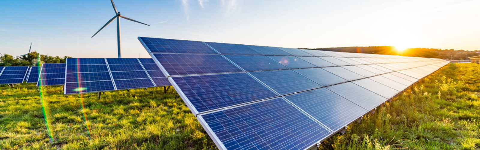 Ingénieur Ecologue EnR F/H Ingénieur Ecologue EnR F/H